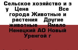 Сельское хозяйство и з/у › Цена ­ 2 500 000 - Все города Животные и растения » Другие животные   . Ямало-Ненецкий АО,Новый Уренгой г.